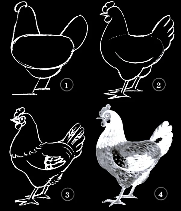 Quick-How-to-Draw-an-Animal-Cheat-Sheet