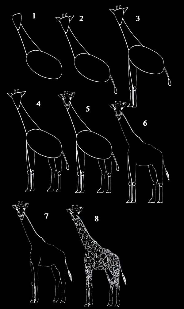 Quick-How-to-Draw-an-Animal-Cheat-Sheet