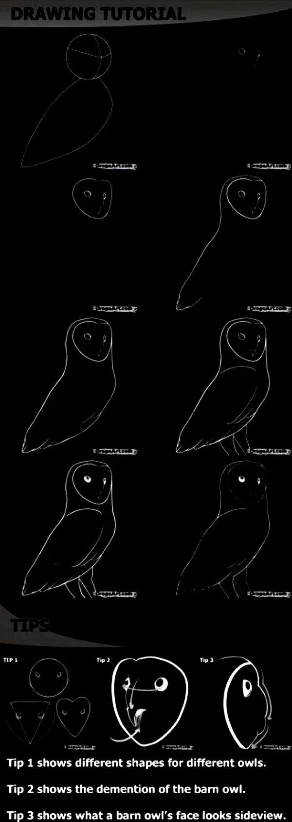 Quick-How-to-Draw-an-Animal-Cheat-Sheet