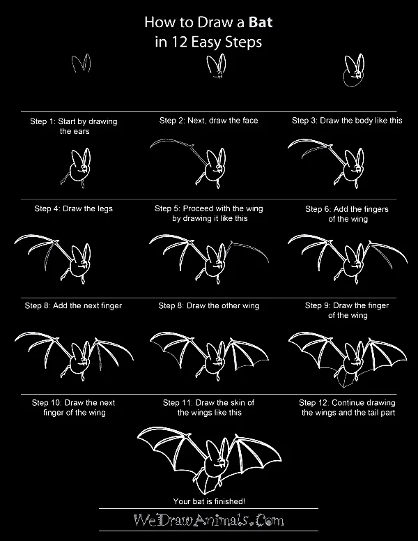 Quick-How-to-Draw-an-Animal-Cheat-Sheet