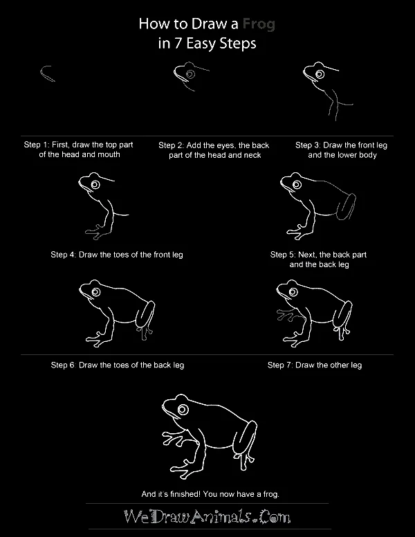 Quick-How-to-Draw-an-Animal-Cheat-Sheet