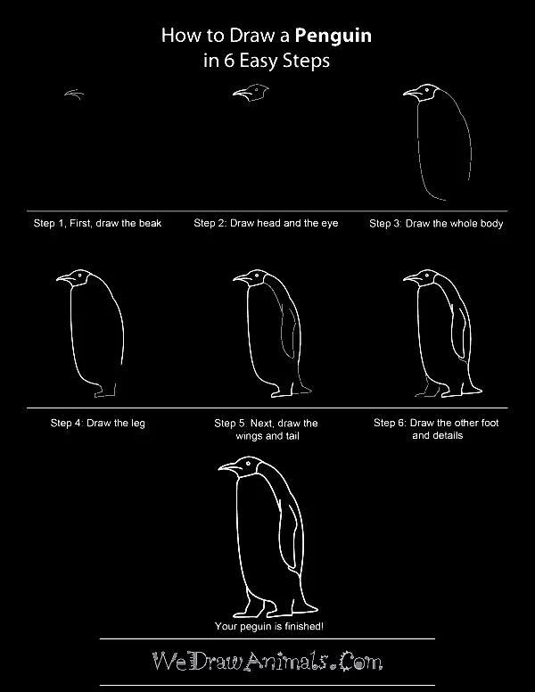 Quick-How-to-Draw-an-Animal-Cheat-Sheet