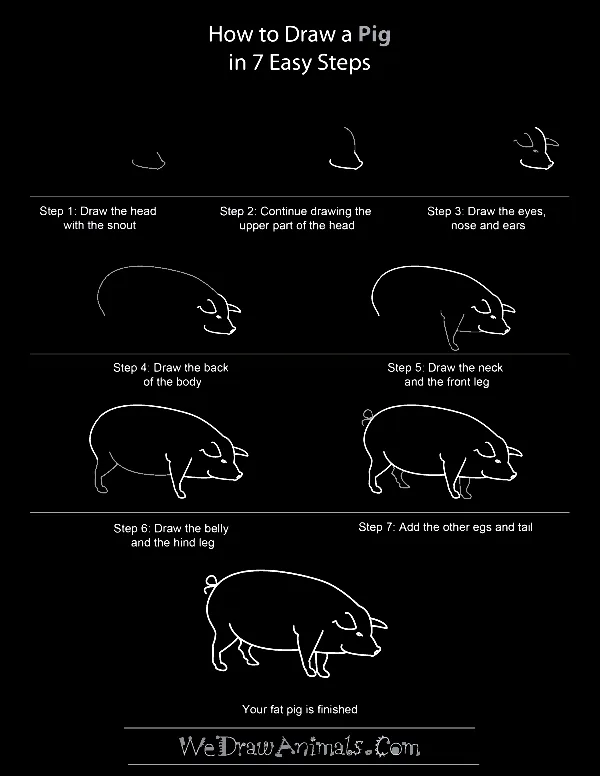 Quick-How-to-Draw-an-Animal-Cheat-Sheet