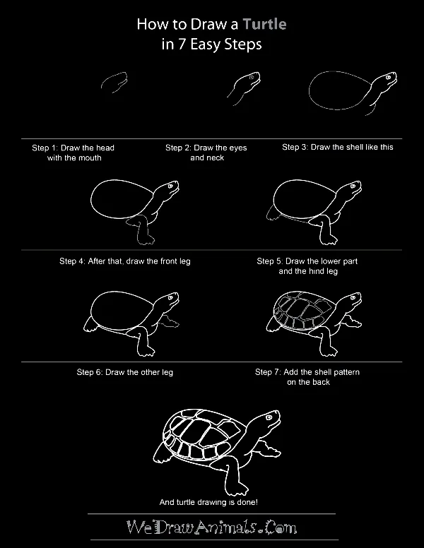Quick-How-to-Draw-an-Animal-Cheat-Sheet