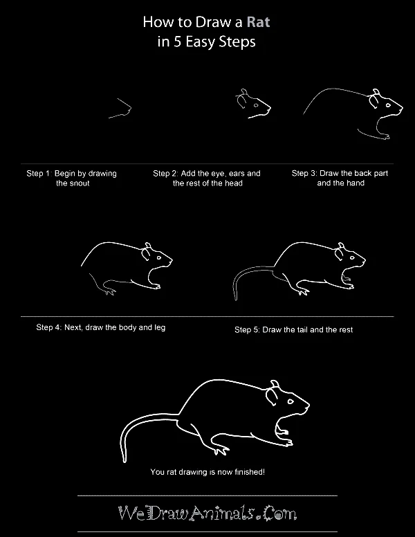 Quick-How-to-Draw-an-Animal-Cheat-Sheet
