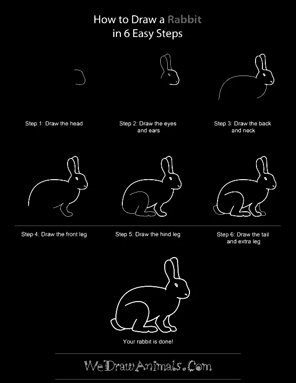 Quick-How-to-Draw-an-Animal-Cheat-Sheet