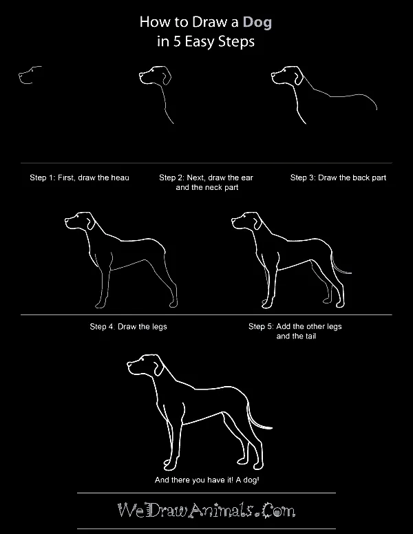 Quick-How-to-Draw-an-Animal-Cheat-Sheet