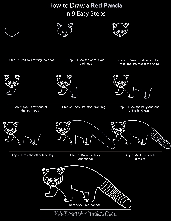 Quick-How-to-Draw-an-Animal-Cheat-Sheet