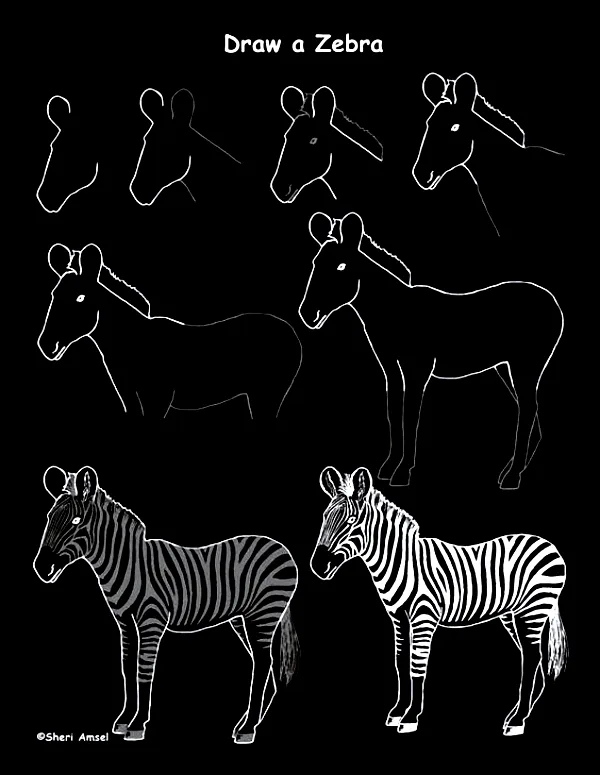 Quick-How-to-Draw-an-Animal-Cheat-Sheet