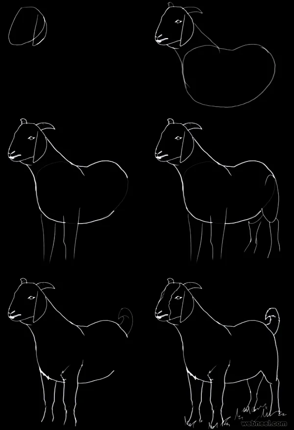 Quick-How-to-Draw-an-Animal-Cheat-Sheet