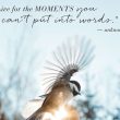 living-moment-quotes-photography-ideas