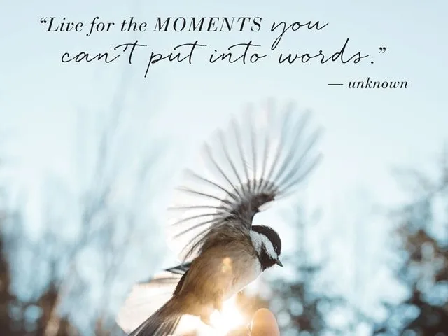 living-moment-quotes-photography-ideas