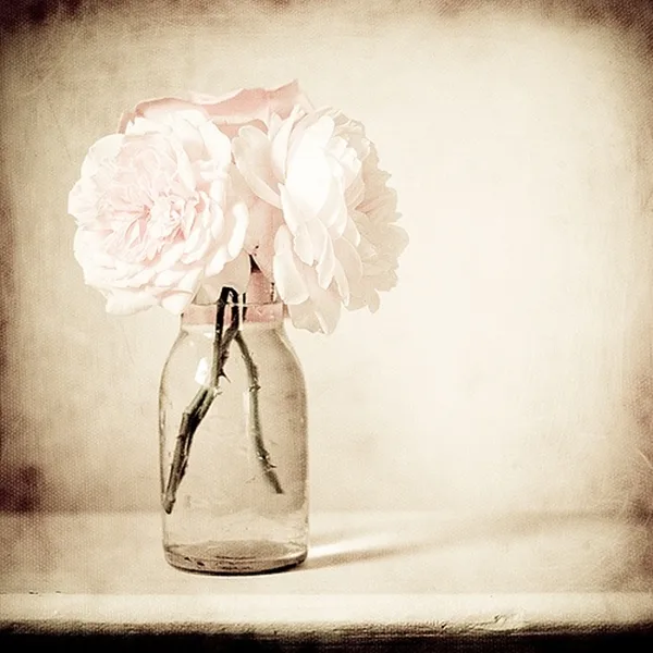 living-moment-quotes-photography-ideas