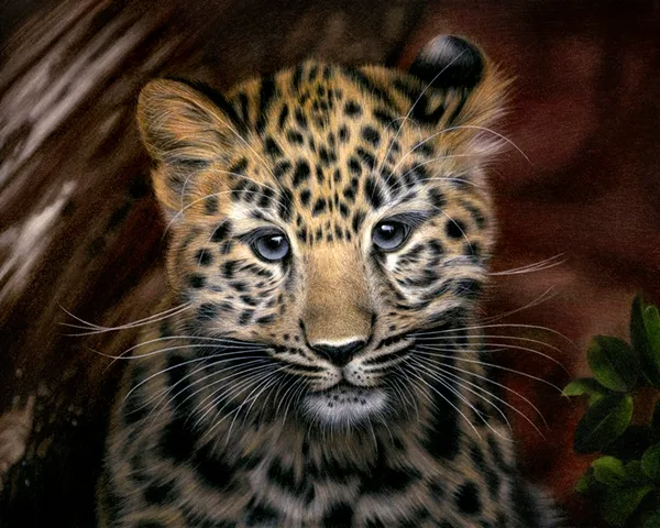 realistic-colour-pencil-drawings