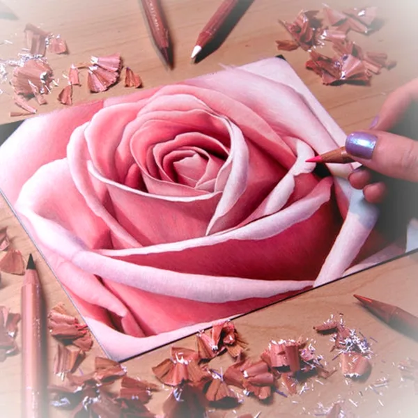 realistic-colour-pencil-drawings