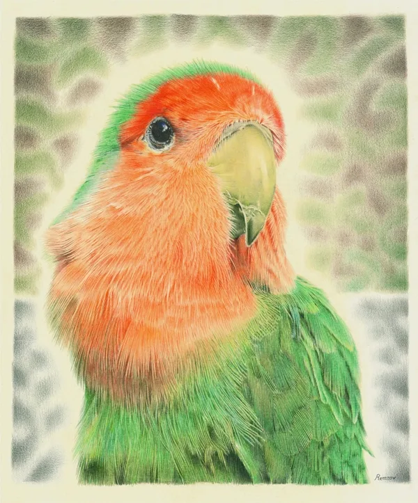realistic-colour-pencil-drawings