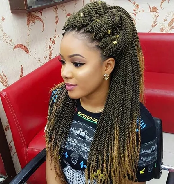 beautiful-senegalese-twists-hairstyles-to-copy-right-now