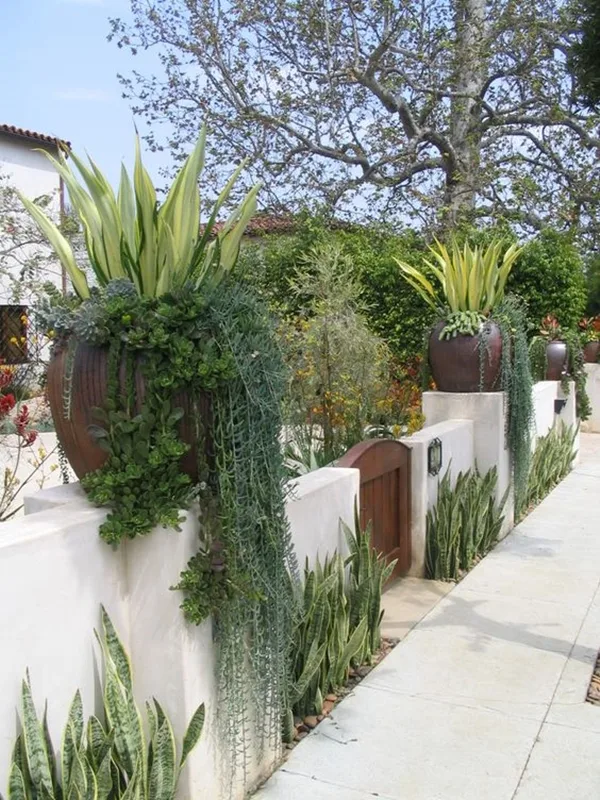 glorious-front-gate-designs-for-your-home