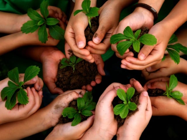Best-World-Environment-Day-Slogans
