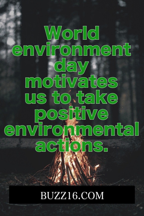 30 Best World Environment Day Slogans - Buzz 2018