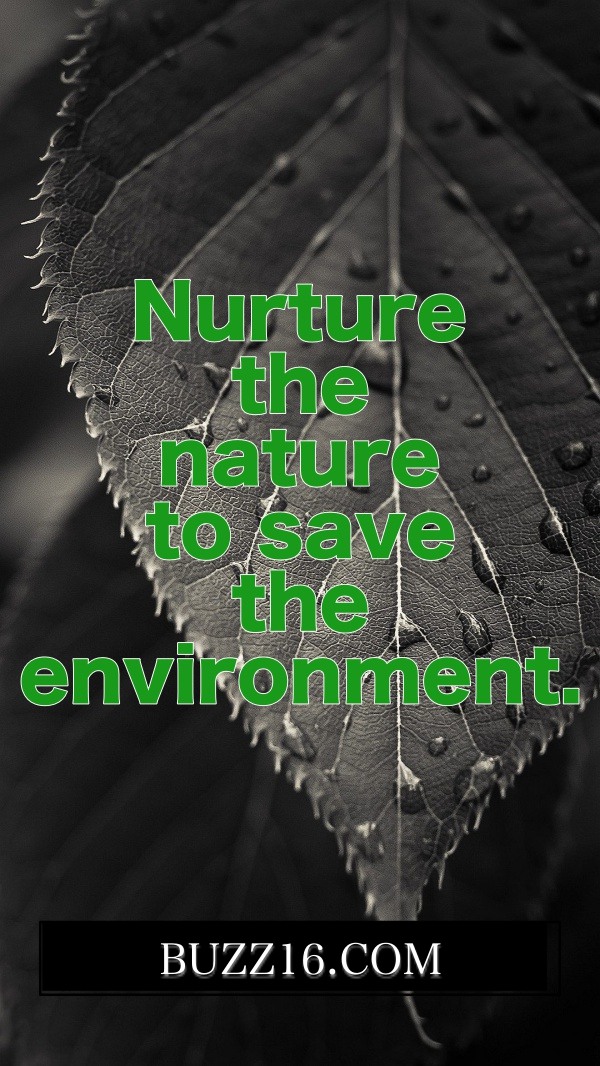 Best-World-Environment-Day-Slogans