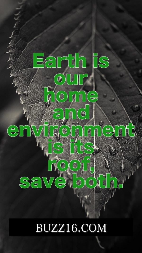 Best-World-Environment-Day-Slogans