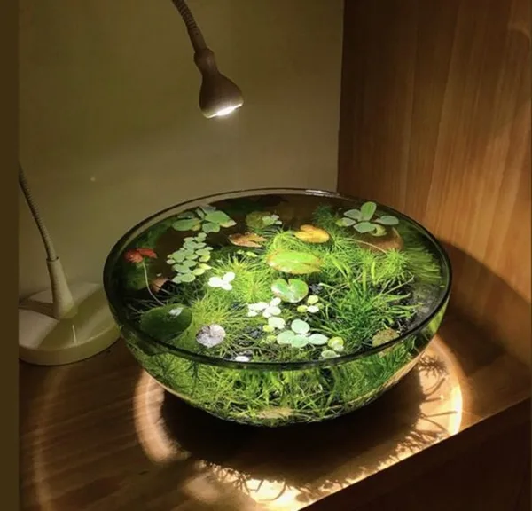 brilliant-indoor-water-garden-ideas