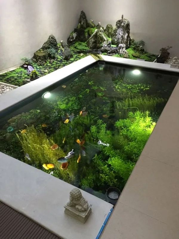 brilliant-indoor-water-garden-ideas