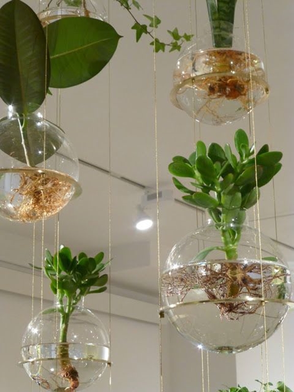 brilliant-indoor-water-garden-ideas