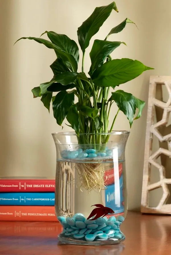 brilliant-indoor-water-garden-ideas