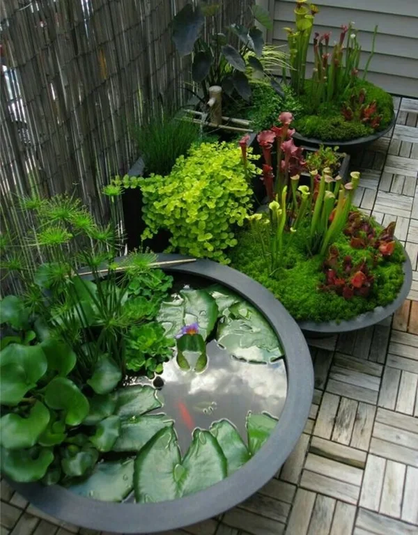 brilliant-indoor-water-garden-ideas