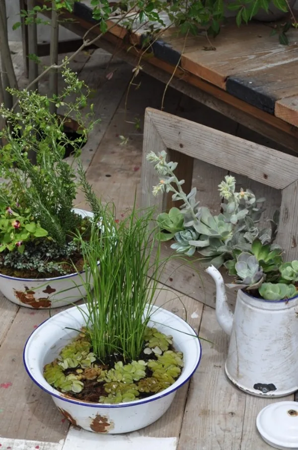 brilliant-indoor-water-garden-ideas