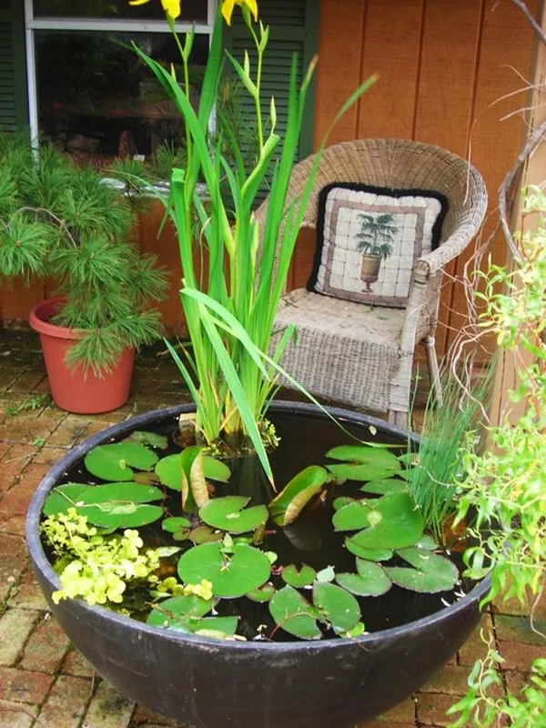 brilliant-indoor-water-garden-ideas