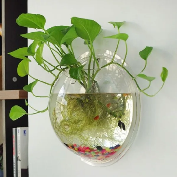 brilliant-indoor-water-garden-ideas