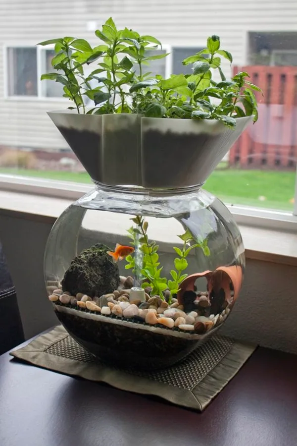 brilliant-indoor-water-garden-ideas