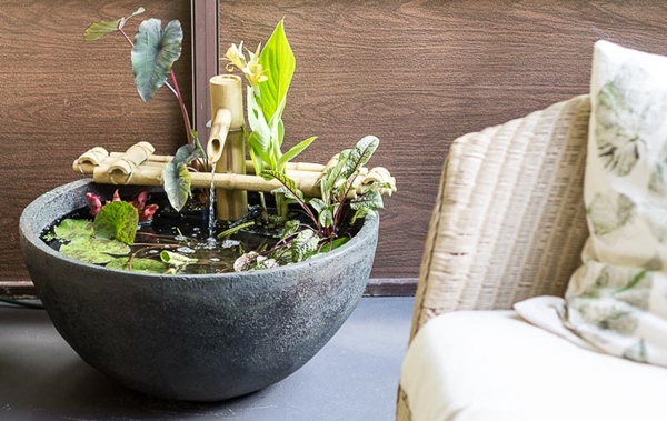 brilliant-indoor-water-garden-ideas