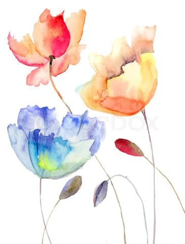xceptional-Watercolour-Paintings-For-Art-Lover