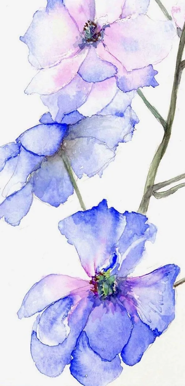 xceptional-Watercolour-Paintings-For-Art-Lover