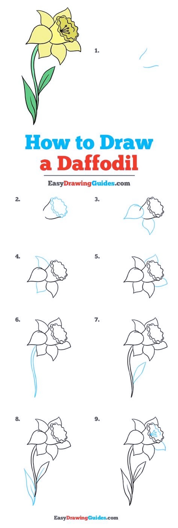 Drawing-Tutorial-for-Occasional-Artists