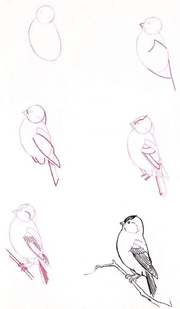 Drawing-Tutorial-for-Occasional-Artists