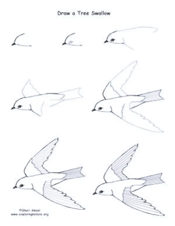 Drawing-Tutorial-for-Occasional-Artists