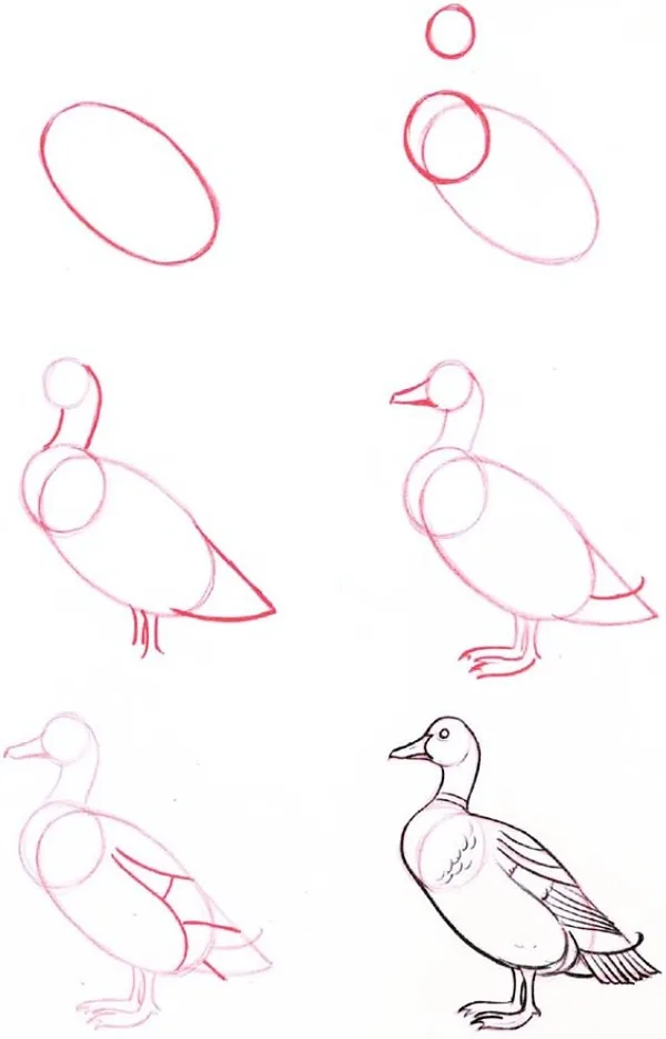Drawing-Tutorial-for-Occasional-Artists