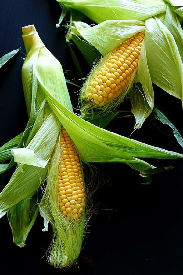 Common-Examples-of-Genetically-Modified-Food